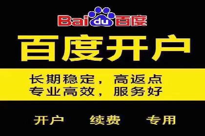 如何在竞争激烈的市场中脱颖而出——SEM代运营公司案例分析